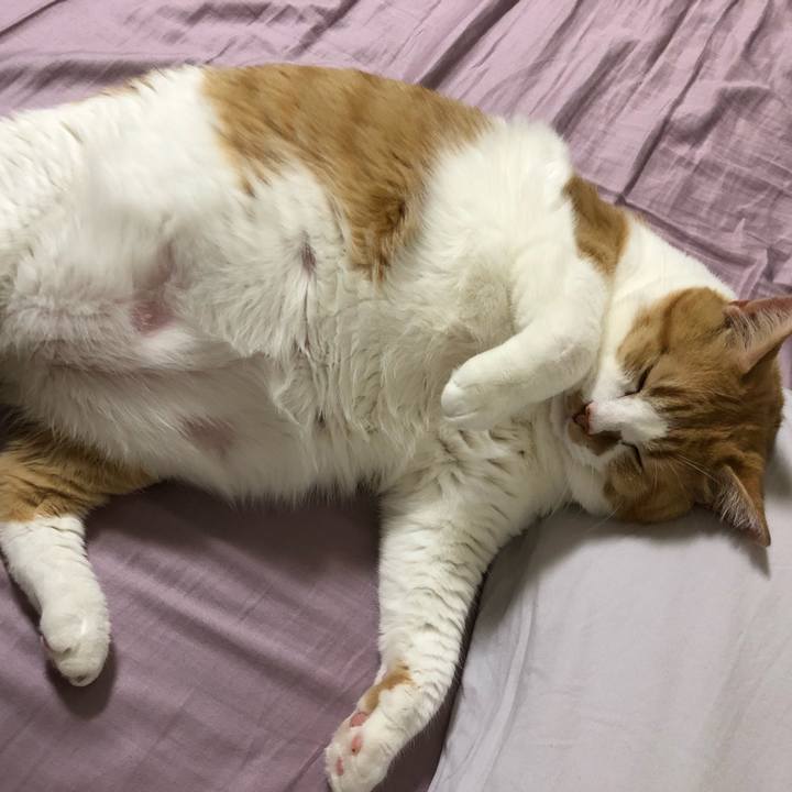 Ae493990 0399 4a01 9dbb 91eaa8bed950 1553089134123