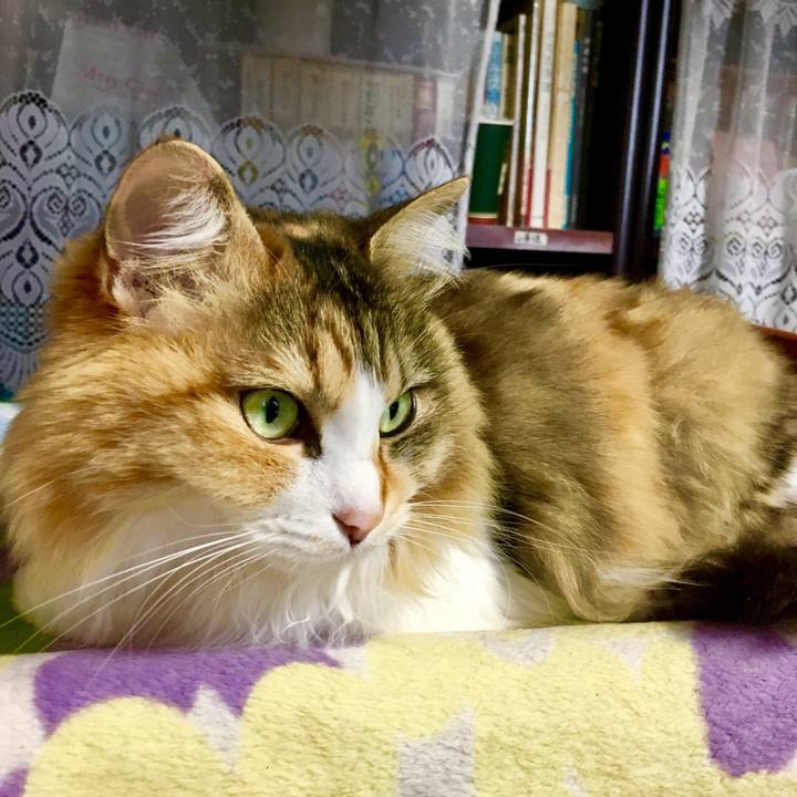 Ae493f1e 77d5 475e ad5e 84258632ea5b 1559014095539