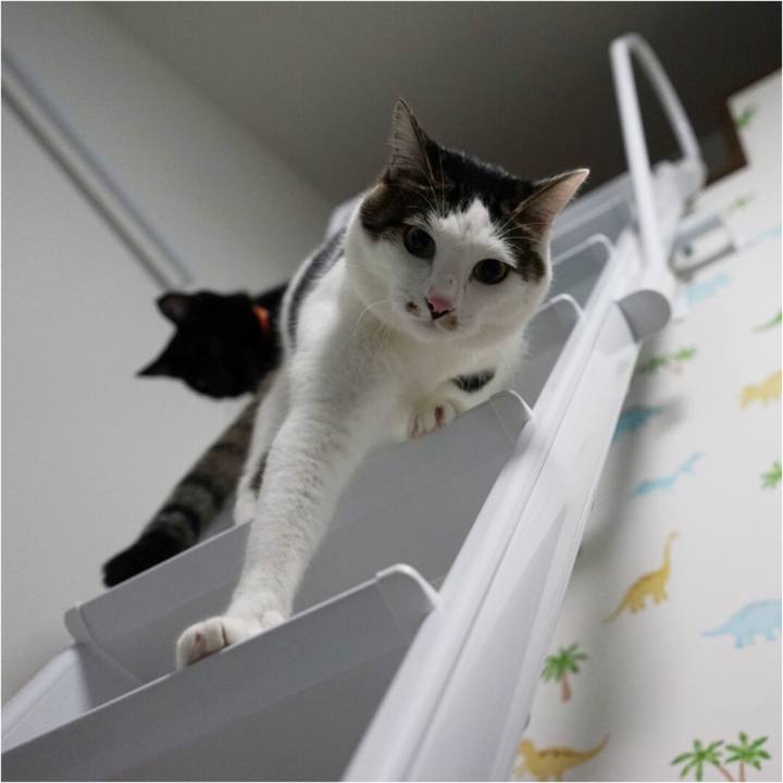 Ae495352 655c 4783 ba86 386706355032 1538293638176