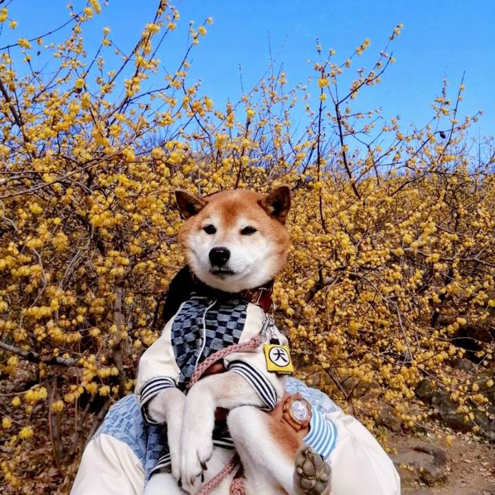 Ae49d37d 406b 4529 8a18 b69e31c05d15 1769068718802