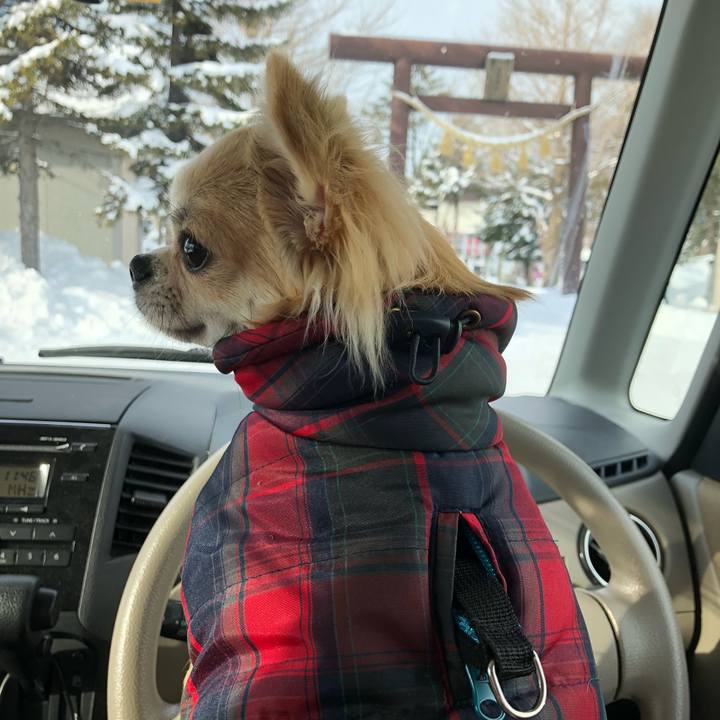 Ae4a2827 c286 4da0 8cd2 94bad4f62eb1 1546314907676