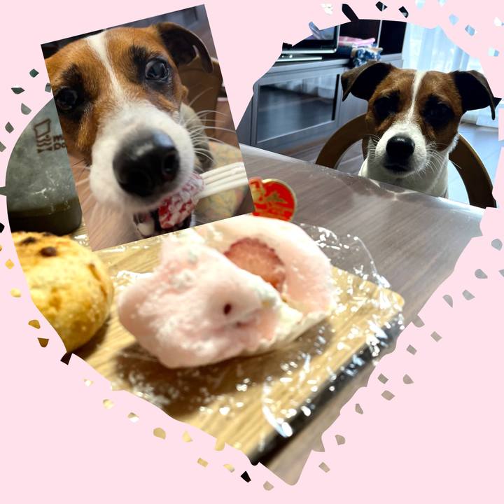 Ae4a4f1b a17f 498f b5f6 0dbcb8199436 1645784648020