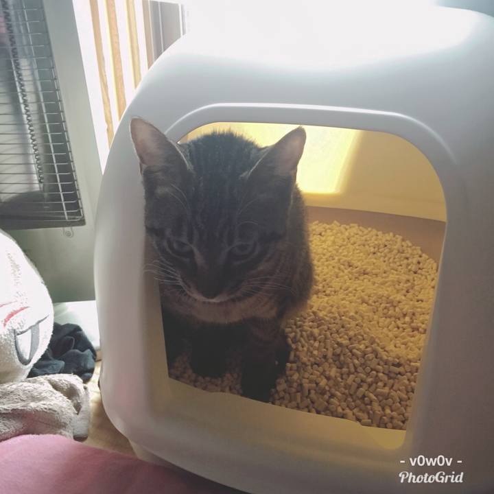 Ae4a5ffd e66b 4712 b985 38e9e1935196 1544690482652