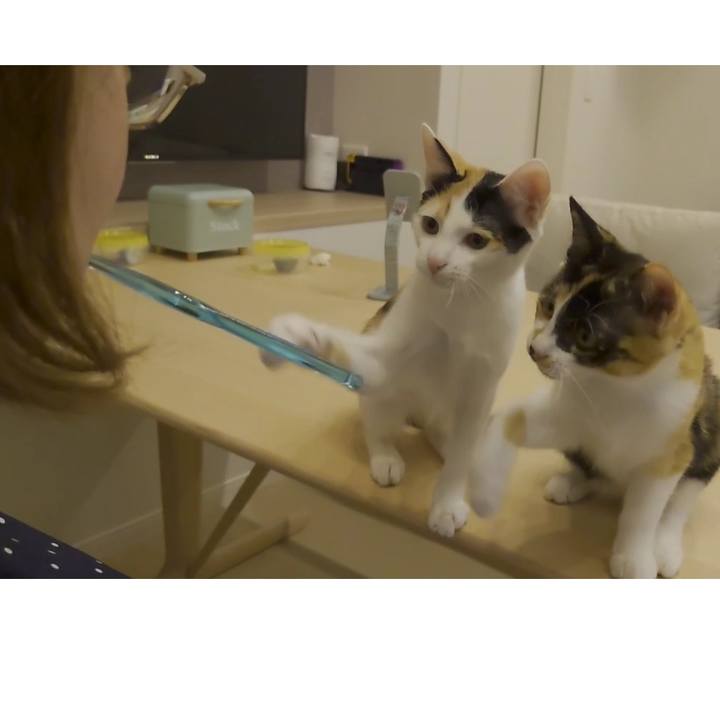 Ae4a693a 5f1a 4a83 99b1 0c9149332ff2 1758284165849