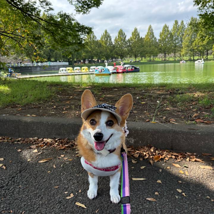 Ae4ab9ae 2bd8 4dfc 9521 3945c1ab5fce 1759637442701