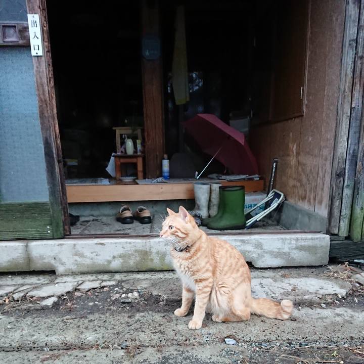 Ae4ac946 8957 4eb0 a367 427879939d6d 1657877958562