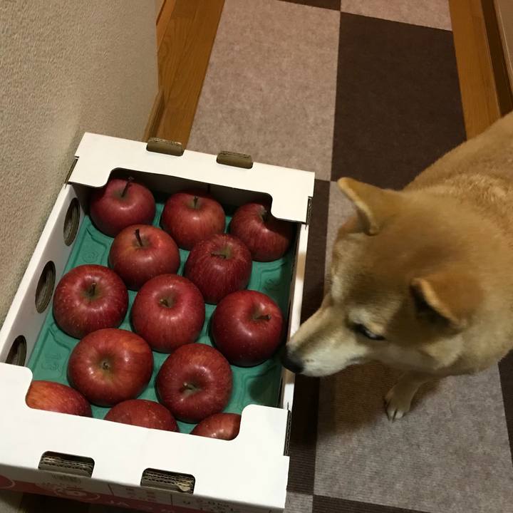 Ae4ae110 32f0 4f72 b361 2eeca33e3a4e 1518995767018