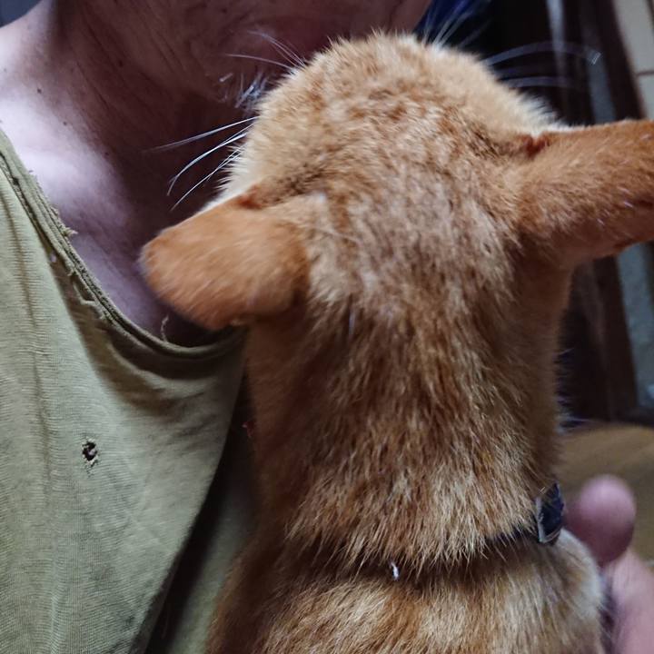 Ae4af925 7cd5 49d3 866a 51f6acc4fb33 1597867149898