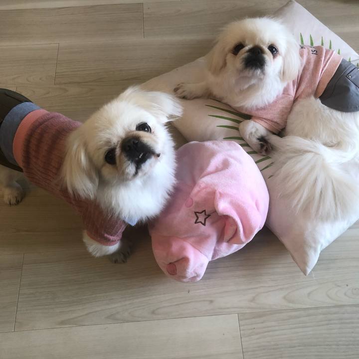 Ae4ba55b 725d 4e11 bc72 5c2e385b667d 1541996683509