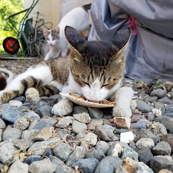 Ae4bcc5a 0965 49a0 9f7d 1b7df2772e55 1595488761803