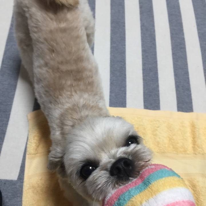 Ae4cb653 0def 4f1f bdf9 70a36e85aa77 1538735755016