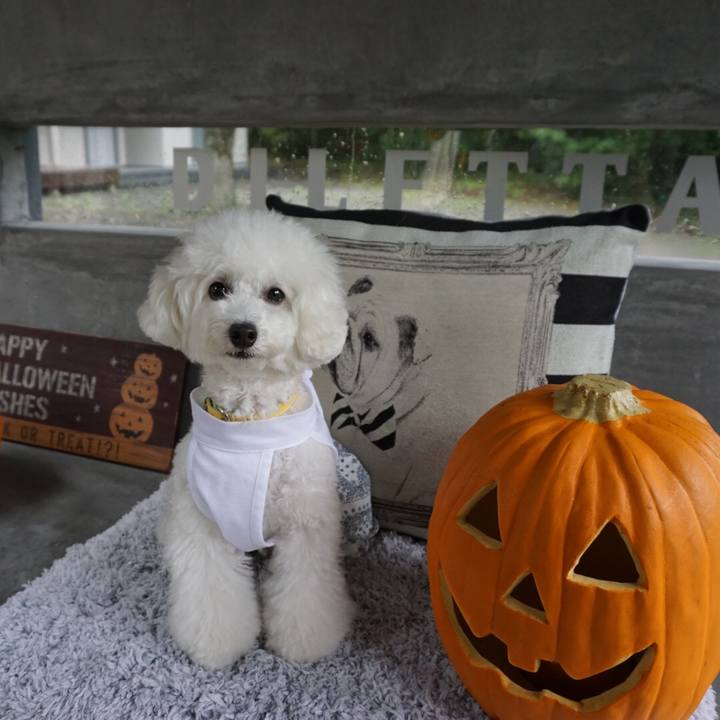 Ae4cda4e 5458 4d18 a900 ec8ce19c0132 1538563610735