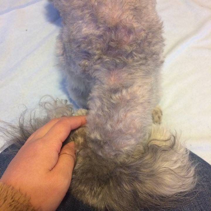 Ae4d0564 f80d 4f81 ab57 e119f174d80c 1516145367603