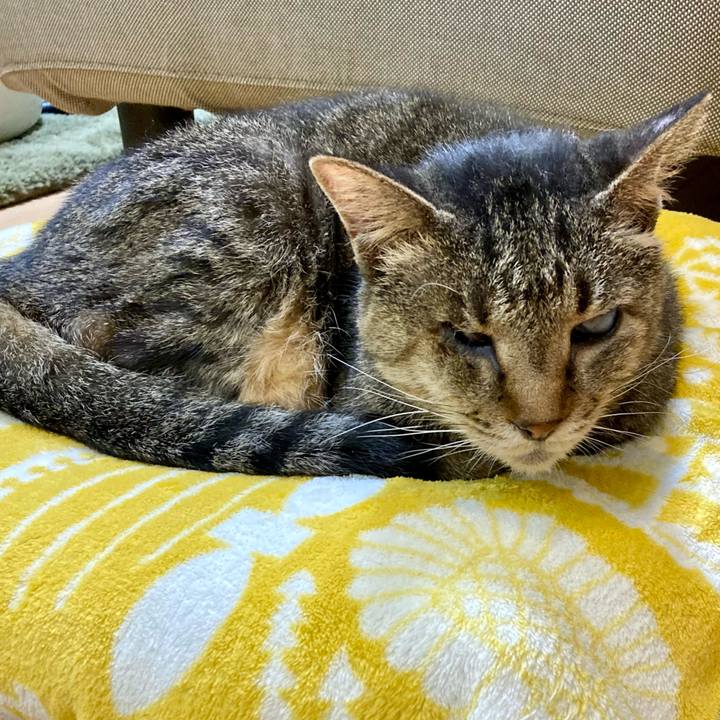 Ae4d0bc7 c2cb 437a 866a 87c4a8e5fcfa 1675855279871