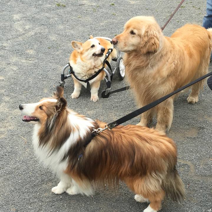 Ae4d3b8f ce18 4cb3 b7e1 ae301aaaba8f 1627954057380