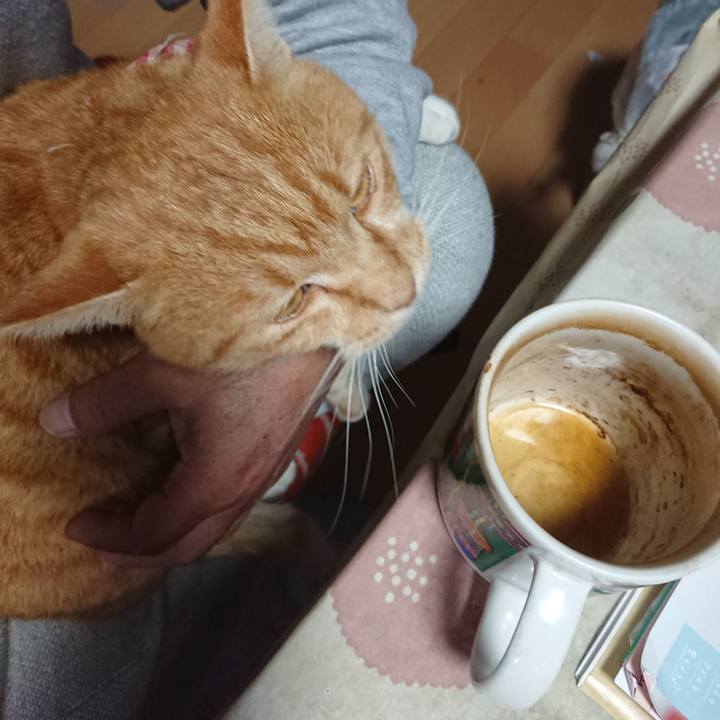 Ae4d4bd8 4992 40f6 8deb 0bd25efddfe5 1606090935128