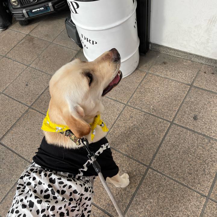 Ae4d83b5 85a1 4e57 a52a 76127992895c 1643439701773