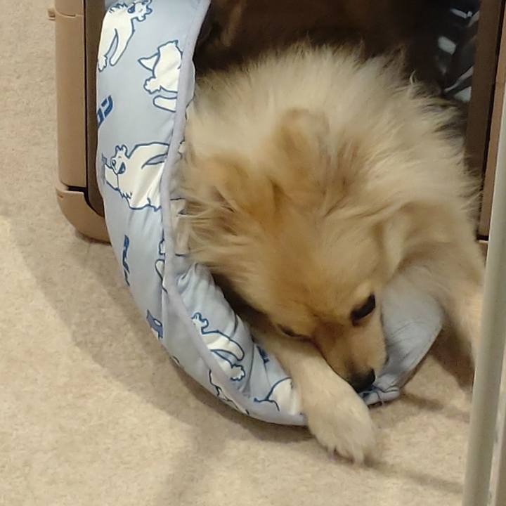 Ae4d9752 2825 4aa8 a19d 07b340e1d41a 1751965505338