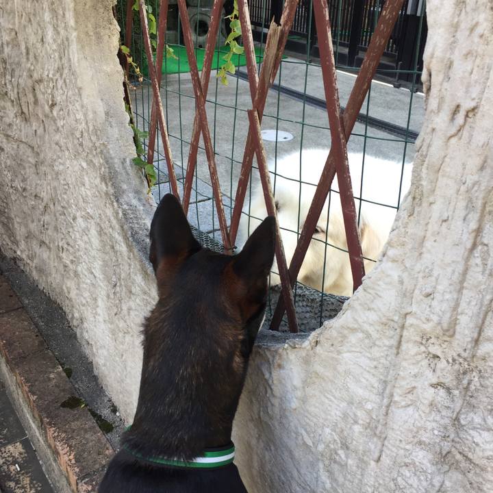 Ae4dab2f ab04 4ac5 80a0 a27eaa322599 1510280919788