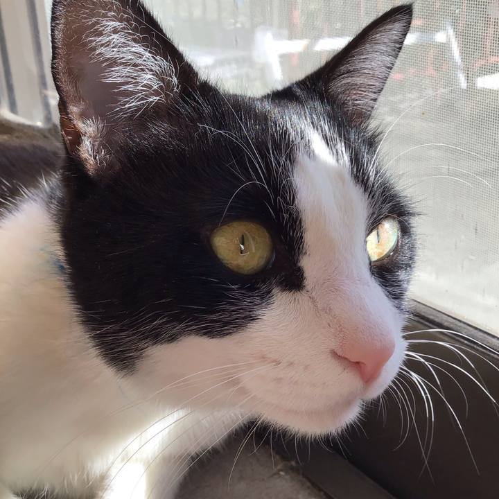 Ae4de3fc 732b 467b b7dc 9509c68ca543 1700474477633