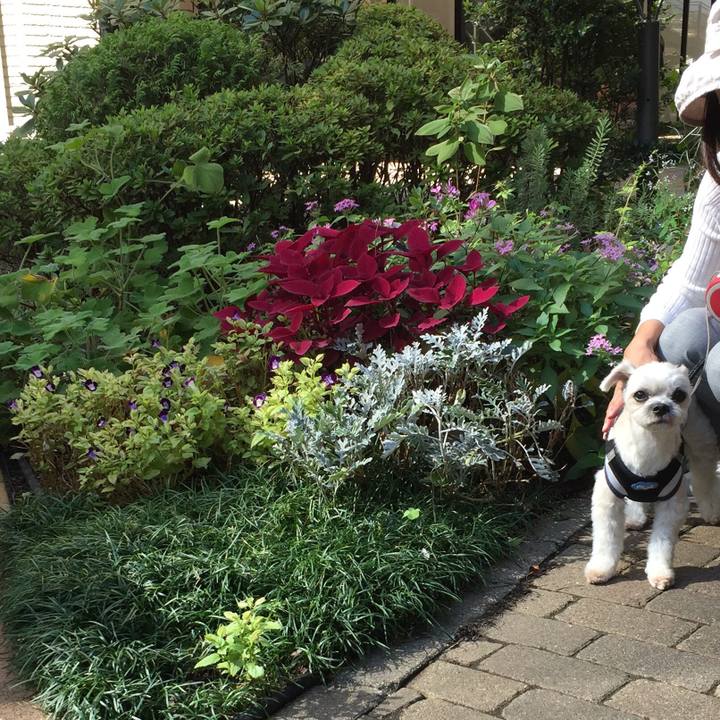 Ae4df101 0684 4437 aa1f 043575036e49 1540796925467