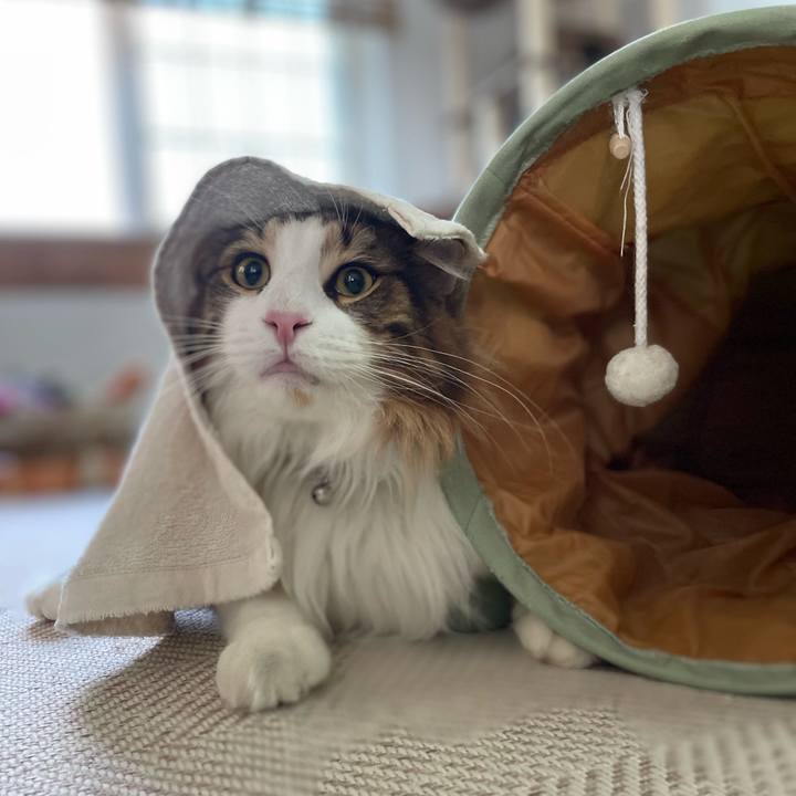 Ae4df7f3 c388 423a 9231 6f3da7a4fd55 1653509113282