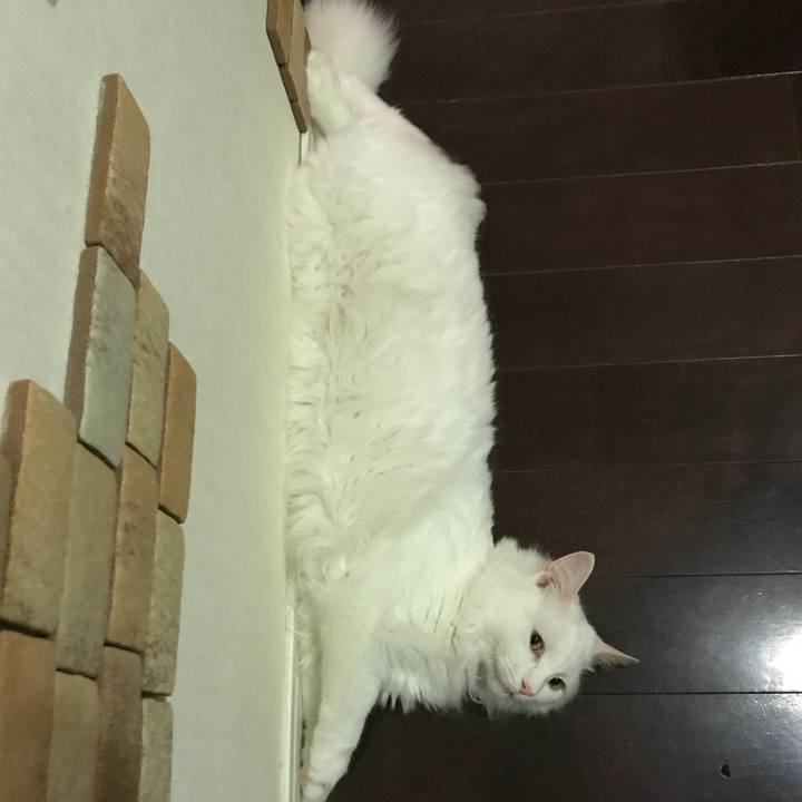 Ae4e36d4 b186 4681 afb2 b89bd4c84c13 1527504727477