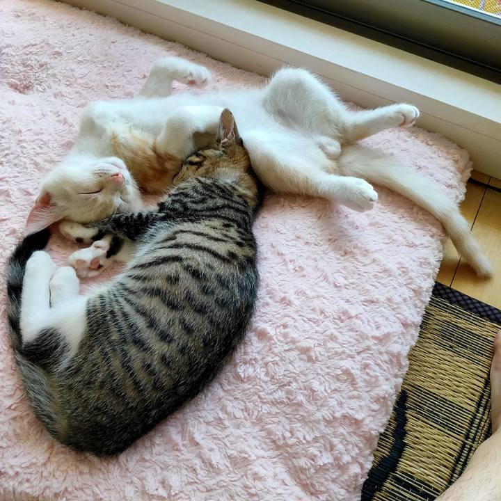 Ae4e4ee9 d053 4259 9265 24f3ca7fbe31 1626489059440