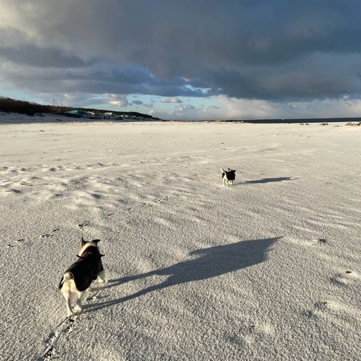 Ae4e7fdf d30b 44d1 952b 772a210e08bb 1740355584514