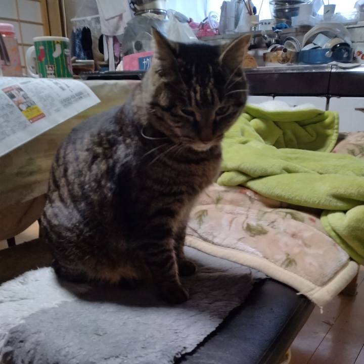 Ae4e8692 2a9e 450c adc8 e394e4e5028d 1675810546538