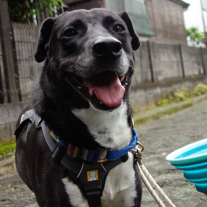 Ae4ee840 a409 4971 89c5 cc0ca8fde598 1652750154863