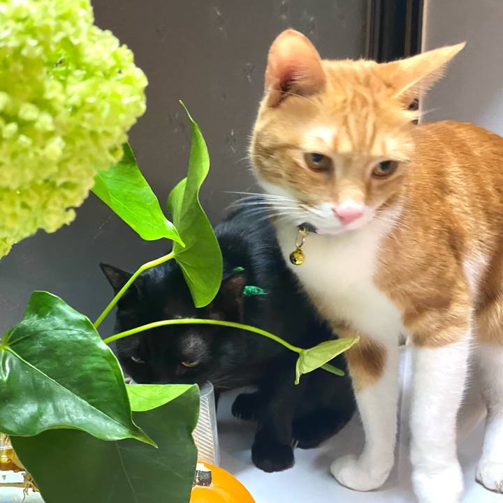 Ae4ee8f7 e17b 43d2 99e4 a345ab871548 1667913652538