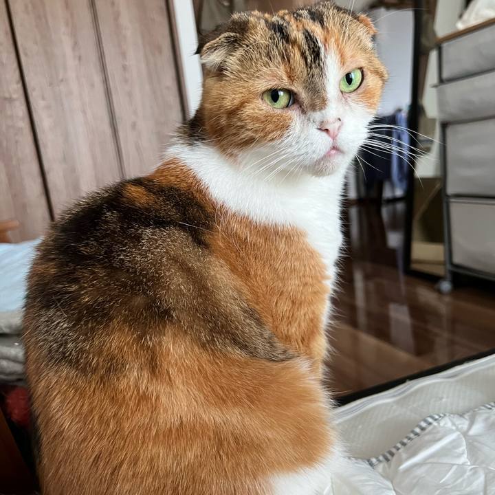 Ae4f4251 62d1 43a3 b34f ceeee3b6e272 1687907952192