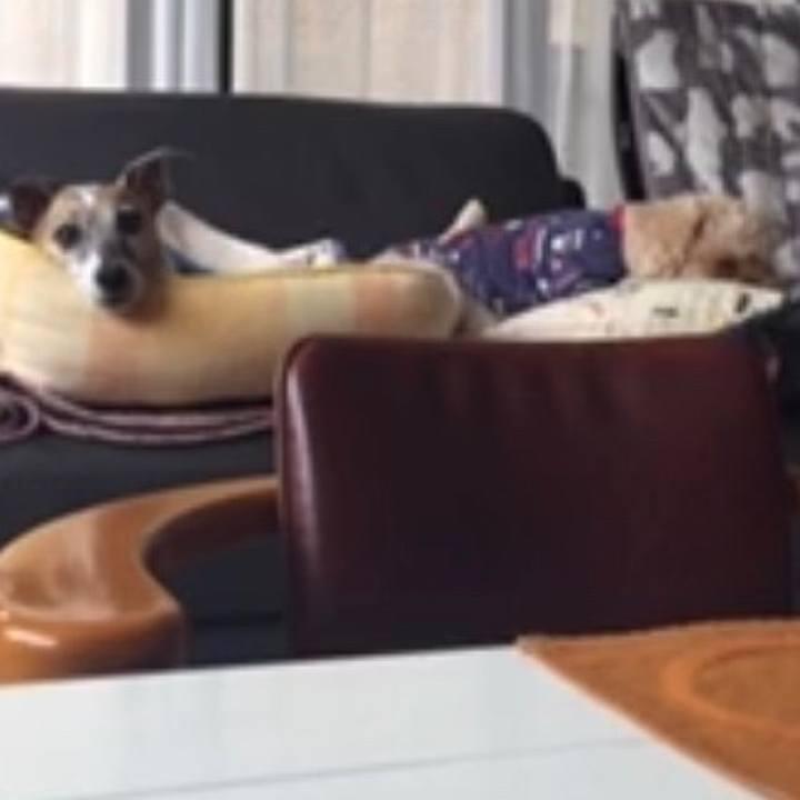 Ae4f740b 980a 4477 9873 f12d7e8d51af 1507875685901