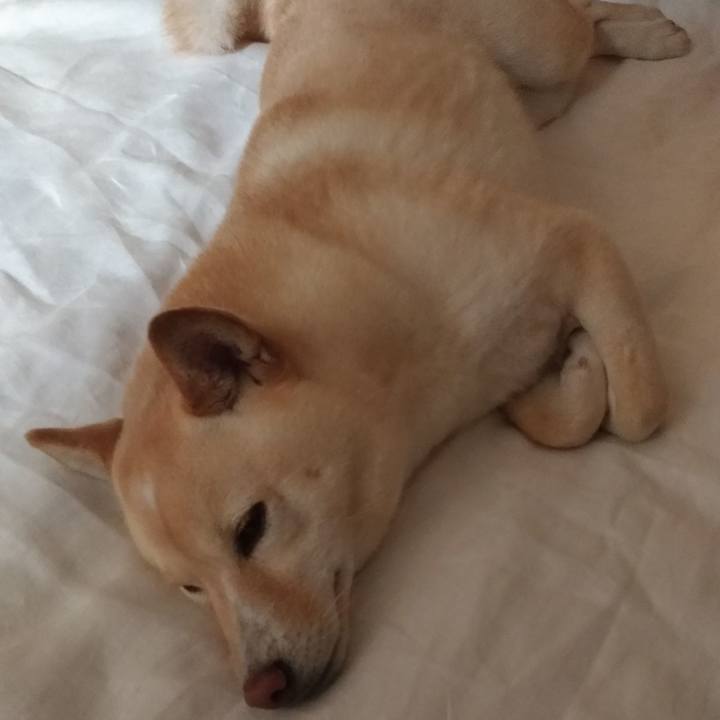 Ae4f7b95 7626 449c 95eb 07d70f814815 1563364086281