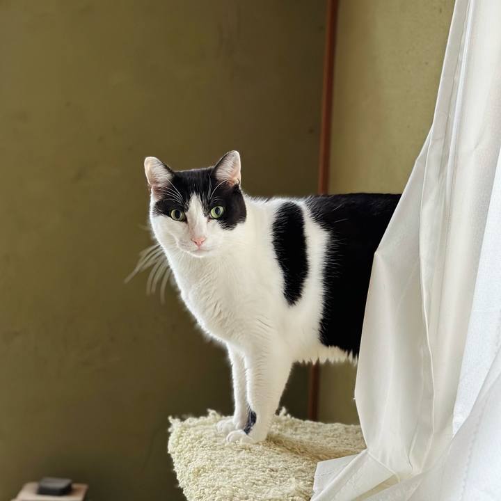 Ae4f89e6 12bd 417e ae4a d46c21b84aef 1671075776146