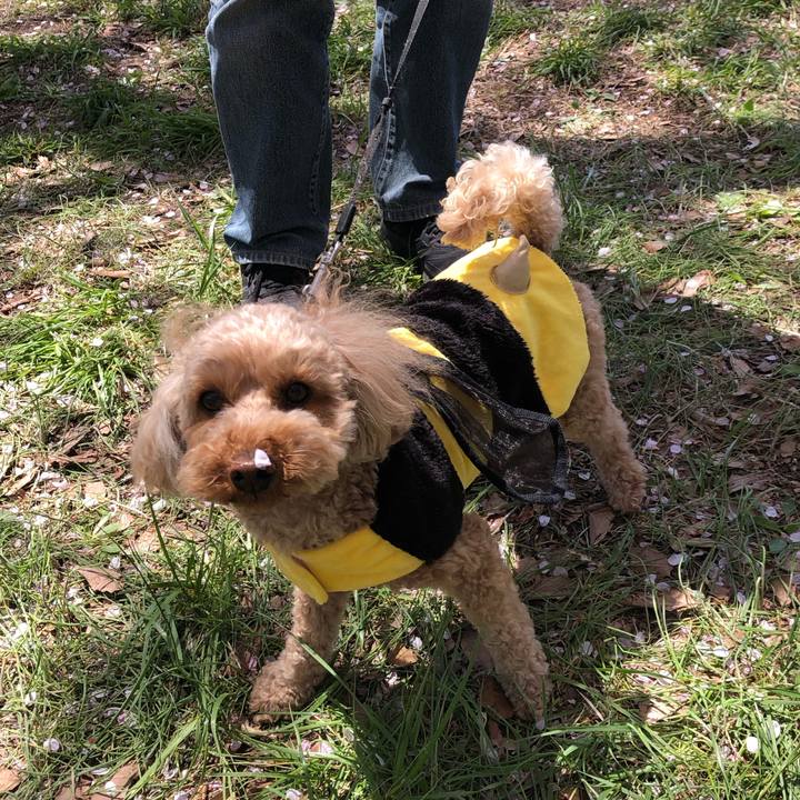 Ae4fd5b9 0959 4c21 8eb3 e1f4b42cf6a7 1776583224926