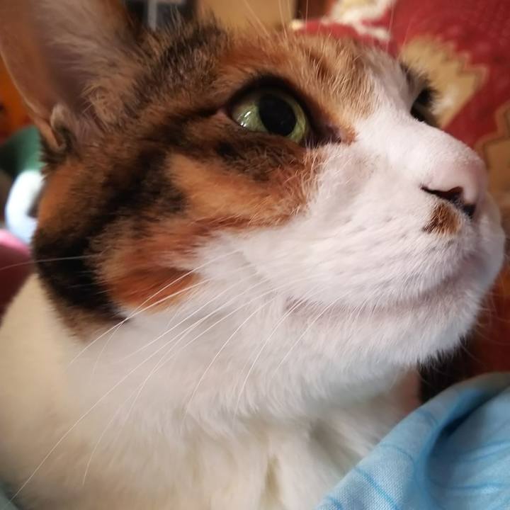 Ae50048a 045f 441f b90a 351707e5adec 1582416961217