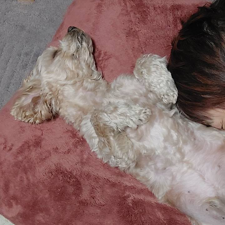 Ae5014d8 6702 4c59 8b5a 72a89cd0393c 1644668329850