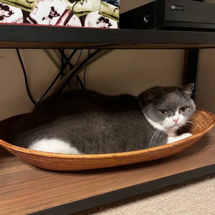 Ae505533 ce1e 4e27 8961 a493dd59d600 1725278684641