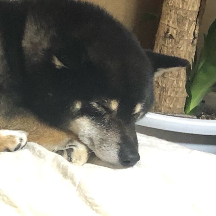 Ae506a32 bebf 46ef bf1b 42cd59c8d959 1572861150911