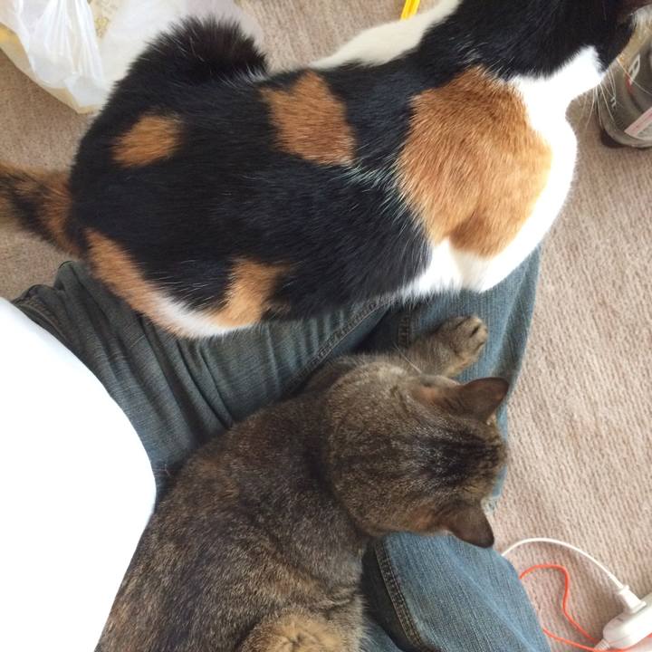 Ae506e51 5acb 4835 8602 a3c4db6aa836 1529237237375