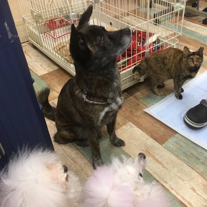 Ae50abda 315c 418f 9912 d0c00c89c91a 1548775944067