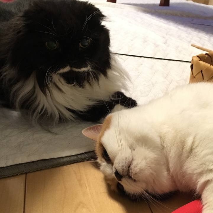 Ae50c328 8f75 4913 89c0 a45133352e4d 1528808404446