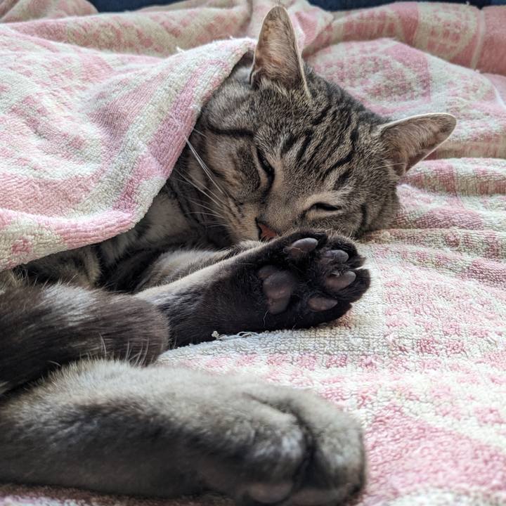 Ae51169c 20f2 4656 8680 206173321d50 1703822276103