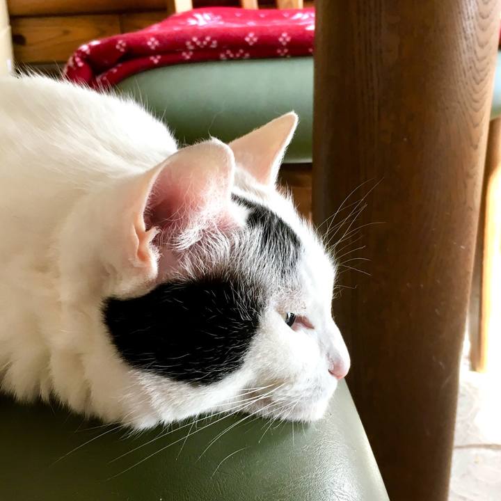 Ae512291 6f0d 4df6 bb5e a77733d1bd9d 1557093093195