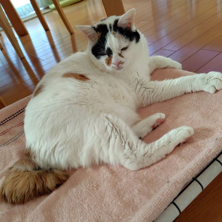 Ae5140e6 4e85 49b8 ad12 0d3015f1295d 1733441847678