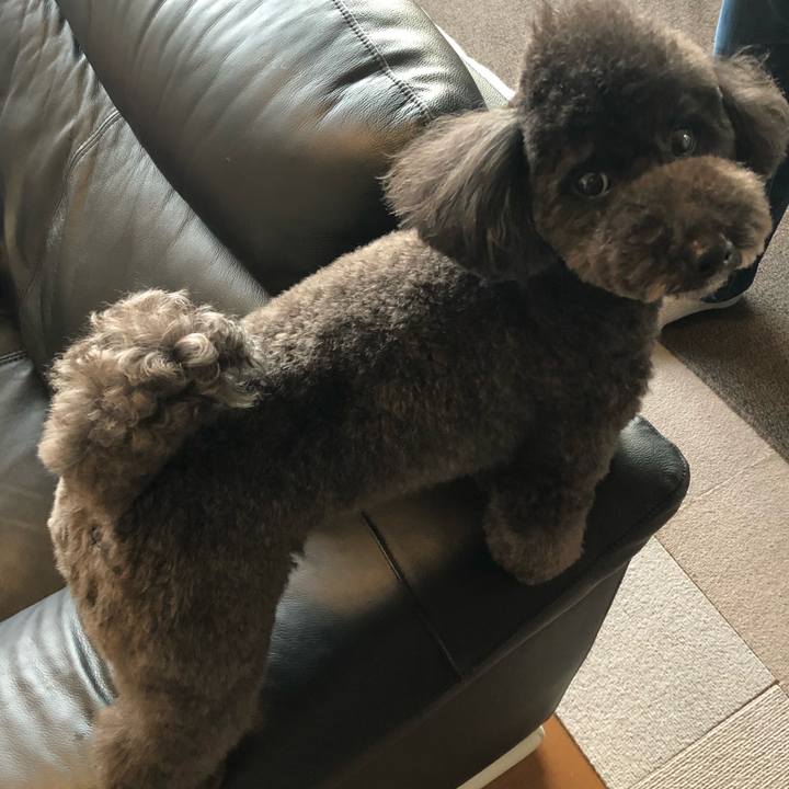 Ae51636a 7600 4927 bf15 fbee8b28265d 1617008157464