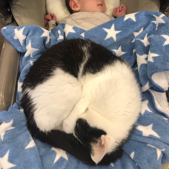 Ae519e2e b92e 4c13 9a42 76e55a7bee53 1664321235331