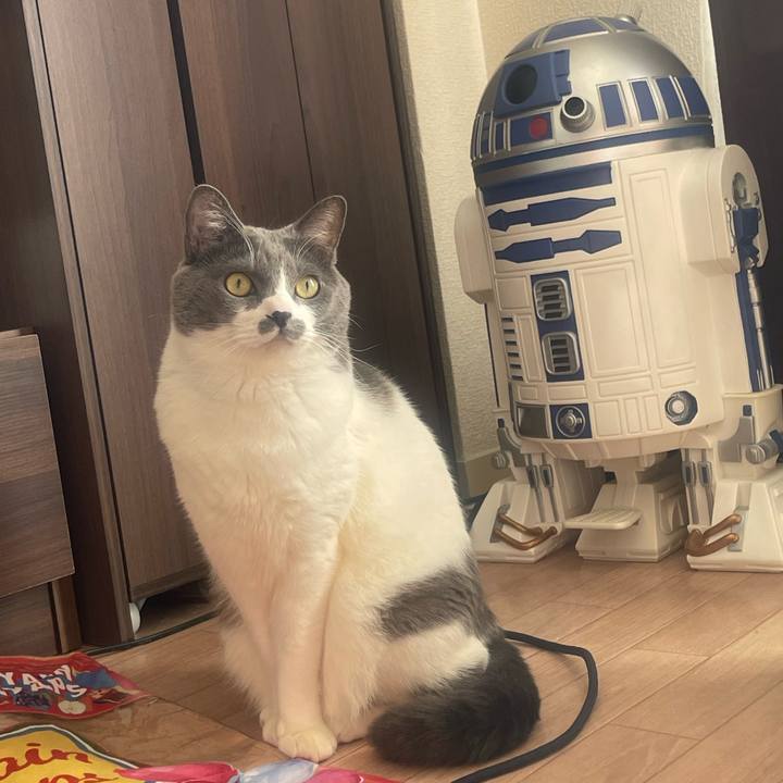 Ae51a67e 7682 407f afb6 edb1d1131a96 1734144012489